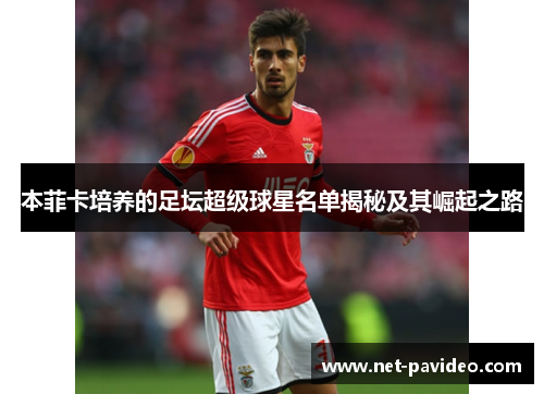 本菲卡培养的足坛超级球星名单揭秘及其崛起之路 本菲卡培养的足坛超级球星名单揭秘及其崛起之路
