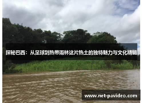 探秘巴西:从足球到热带雨林这片热土的独特魅力与文化精髓 探秘巴西:从足球到热带雨林这片热土的独特魅力与文化精髓