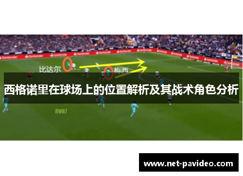 西格诺里在球场上的位置解析及其战术角色分析 西格诺里在球场上的位置解析及其战术角色分析