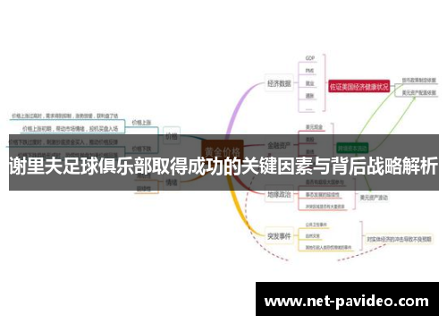 谢里夫足球俱乐部取得成功的关键因素与背后战略解析 谢里夫足球俱乐部取得成功的关键因素与背后战略解析