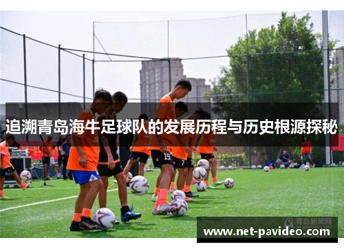 追溯青岛海牛足球队的发展历程与历史根源探秘 追溯青岛海牛足球队的发展历程与历史根源探秘
