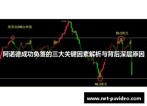 阿诺德成功免签的三大关键因素解析与背后深层原因 阿诺德成功免签的三大关键因素解析与背后深层原因