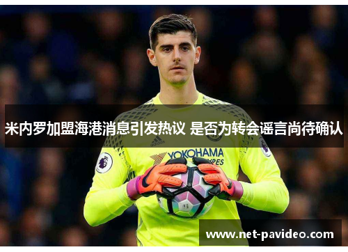 米内罗加盟海港消息引发热议 是否为转会谣言尚待确认